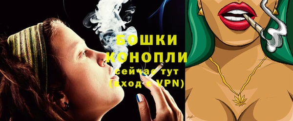 прущие грибы Елизово