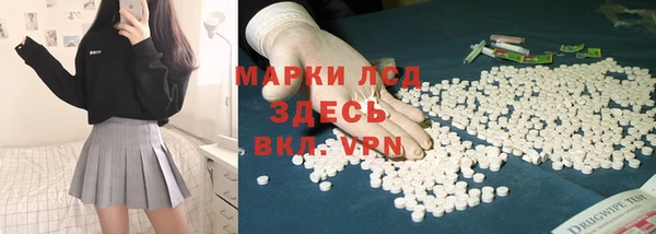 прущие грибы Елизово