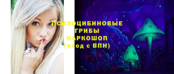 эйфоретик Ельня