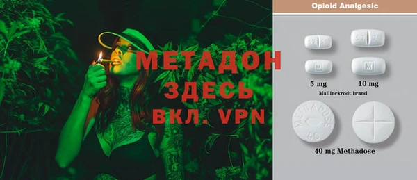 прущие грибы Елизово