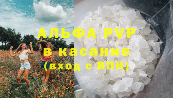 эйфоретик Ельня