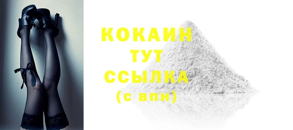 прущие грибы Елизово
