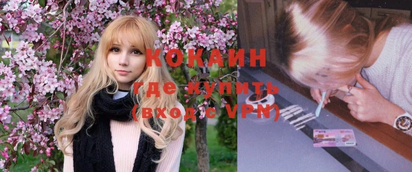 прущие грибы Елизово