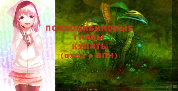 прущие грибы Елизово