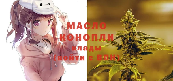 эйфоретик Ельня